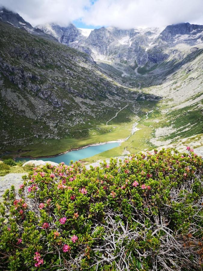 Rifugio Stella Alpina Hotell Saviore dell'Adamello Exteriör bild