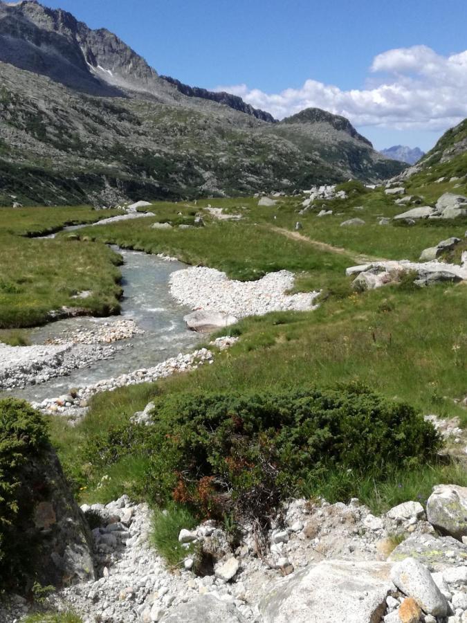 Rifugio Stella Alpina Hotell Saviore dell'Adamello Exteriör bild